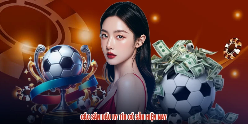Các sân đấu uy tín có sẵn hiện nay