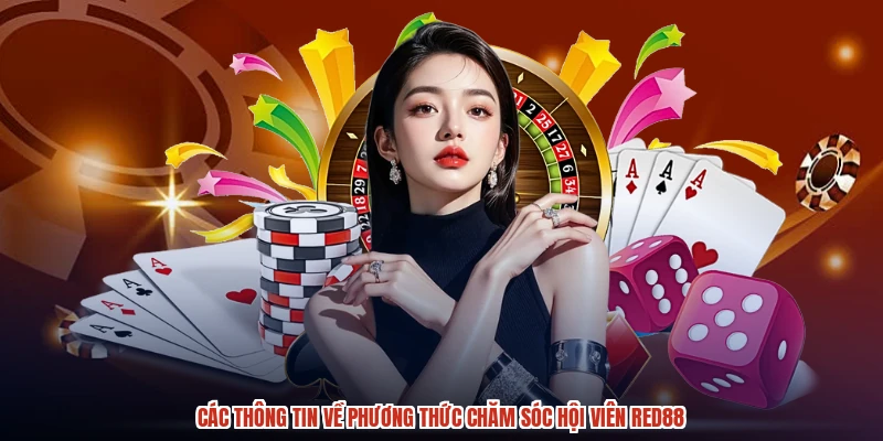 Các thông tin về phương thức chăm sóc hội viên RED88
