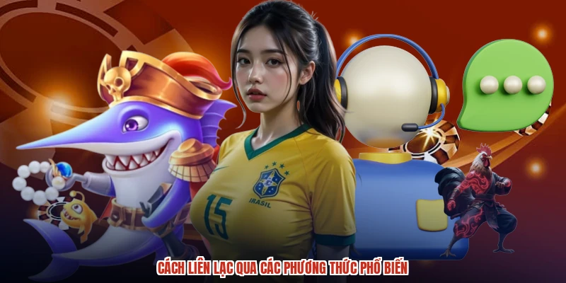 Cách liên lạc qua các phương thức phổ biến
