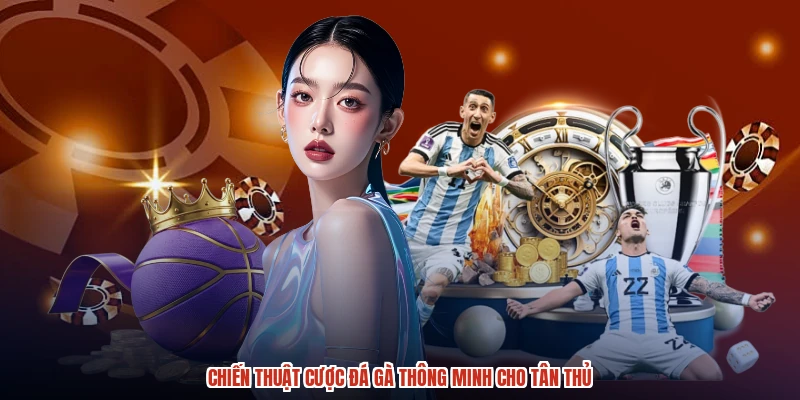 Chiến thuật cược đá gà thông minh cho tân thủ