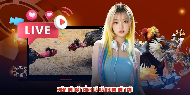 Điểm nổi bật sảnh đá gà RED88 nổi trội