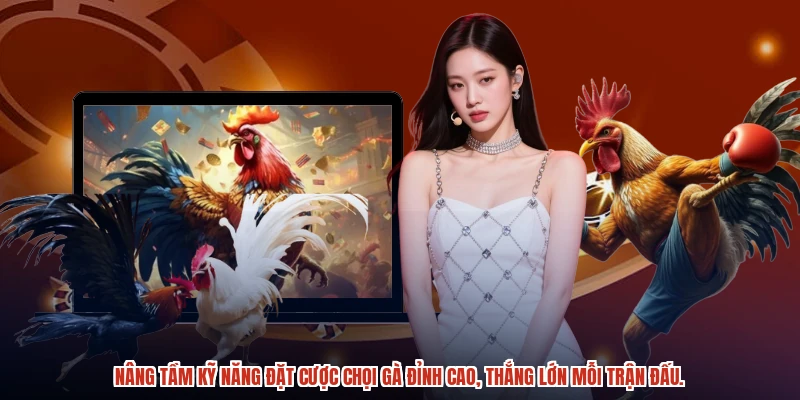 Nâng tầm kỹ năng đặt cược chọi gà đỉnh cao, thắng lớn mỗi trận đấu.