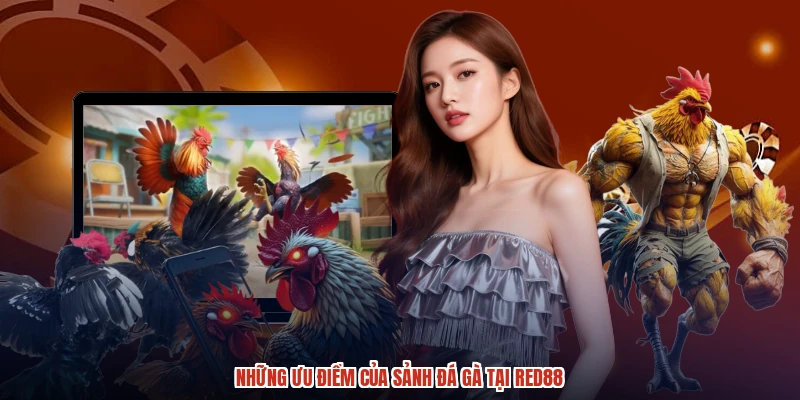 Những ưu điểm của sảnh đá gà tại RED88